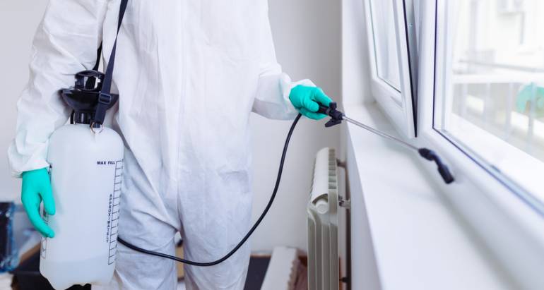 6 Tips and Tricks for Finding the Right Exterminator for Your Needs