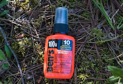 Bug bites to know