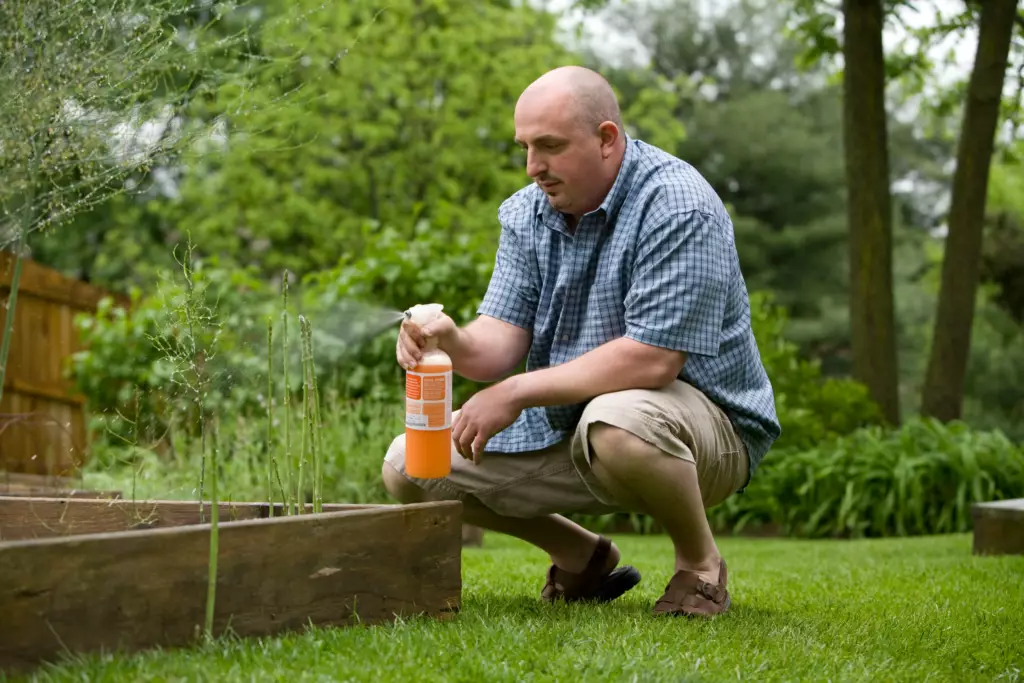 Photo of pest control