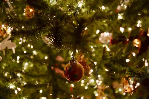 Holiday tree in Michigan