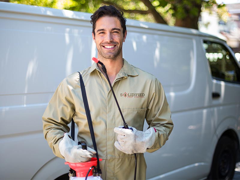 About Solidified Pest Control