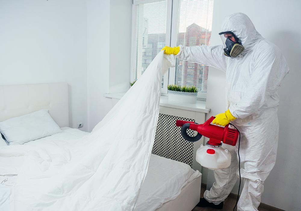 Targeted Pest Control Services