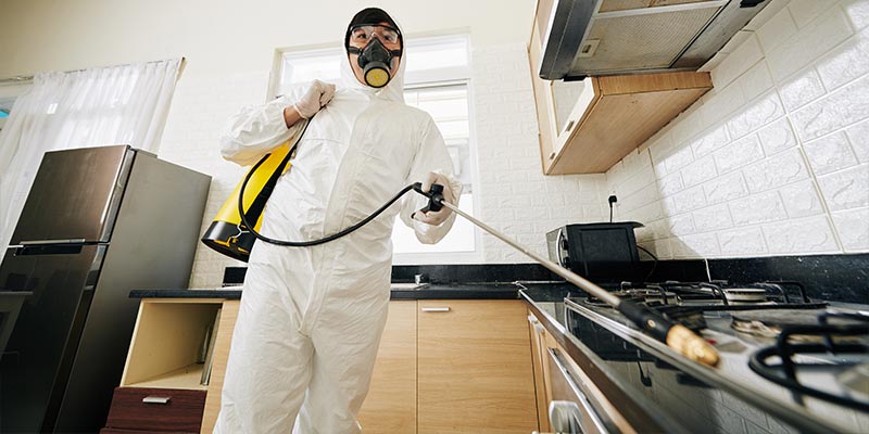 Residential Pest Control