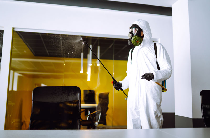 A Strategic Approach to Pest Management Near Me