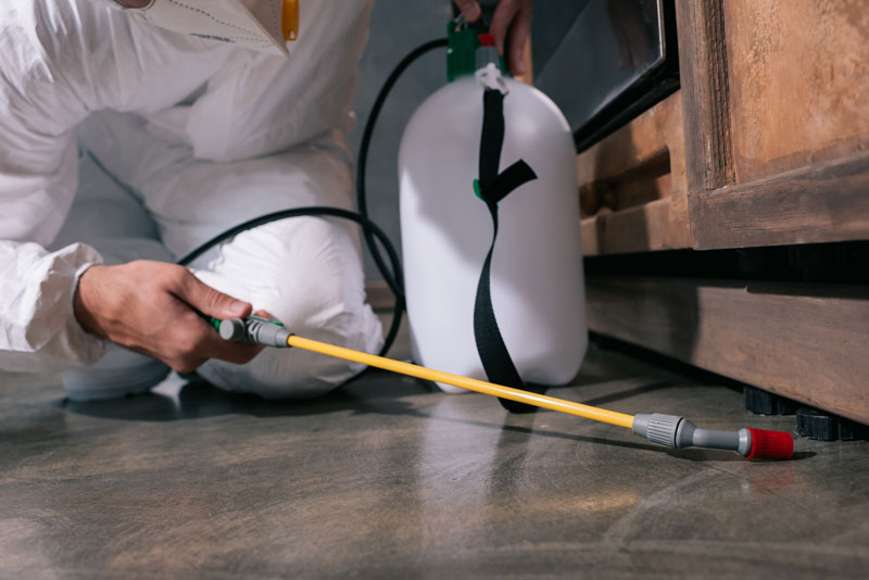 Expert Residential Pest Control in Ann Arbor and Livonia