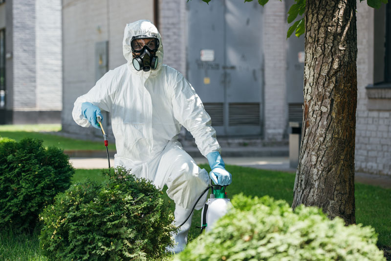 Our Proven Pest Removal Protocol