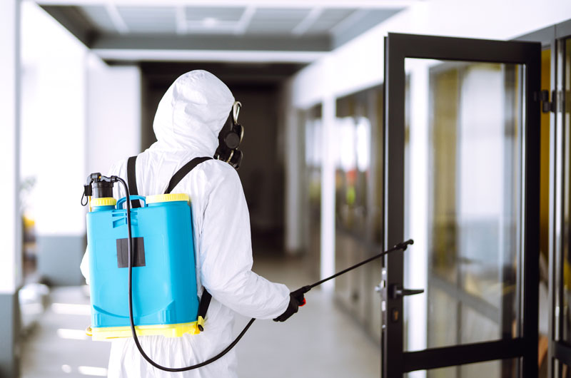 Reliable Commercial Pest Control in Ann Arbor & Livonia