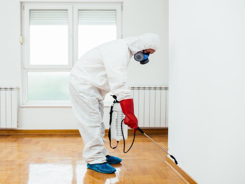 Commercial Pest Exterminator: Get Expert Service Without Disruptions