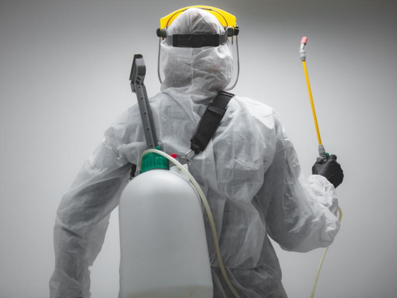 Pest Control: Know When it’s Time to Call a Professional Exterminator